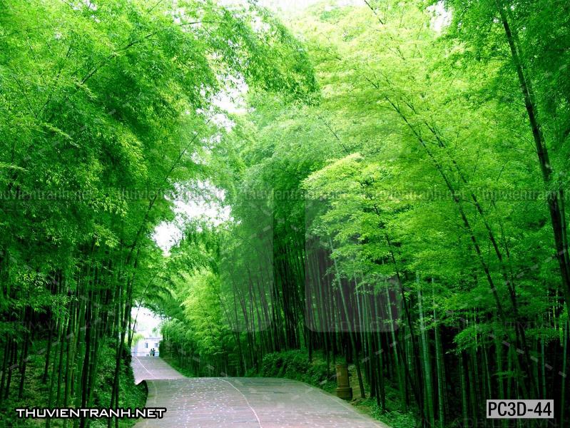 Tranh Phong cảnh 3D, Tranh phong cảnh hữu tình, phong cảnh đẹp - Tranh tường chất lượng cao