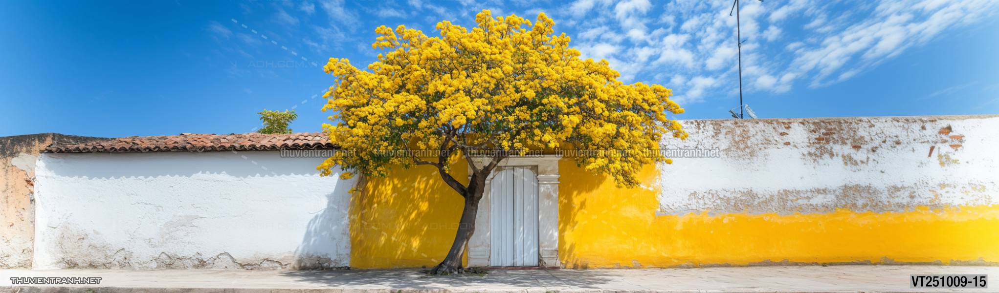  Tranh dán tường ngôi nhà xinh mộng mơ,  cửa nhà hoa leo  - Tranh tường chất lượng cao