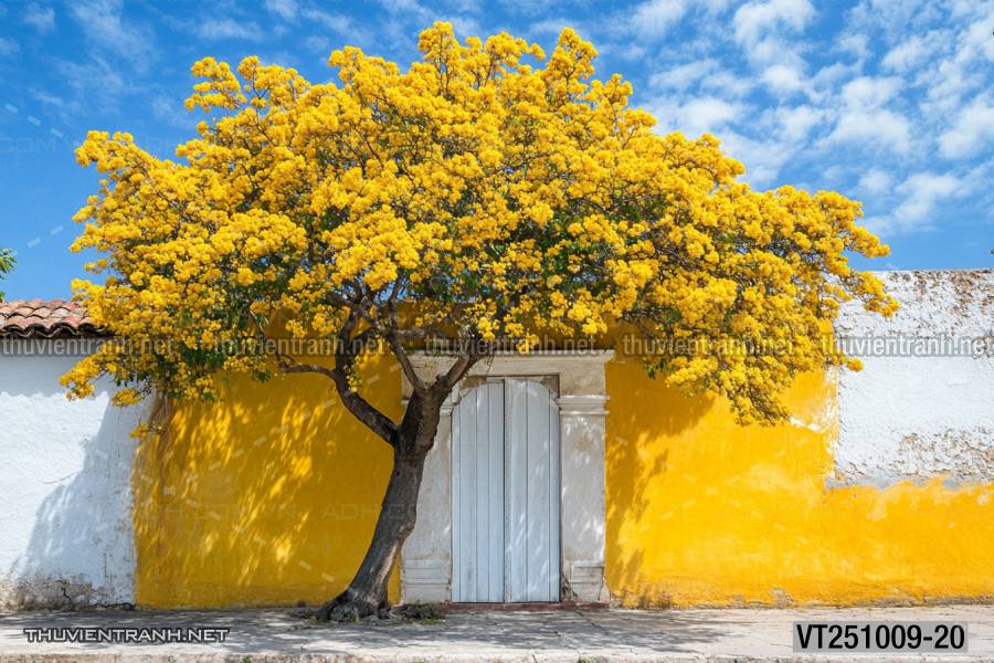  Tranh dán tường ngôi nhà xinh mộng mơ,  cửa nhà hoa leo  - Tranh tường chất lượng cao
