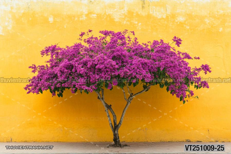  Tranh dán tường ngôi nhà xinh mộng mơ,  cửa nhà hoa leo  - Tranh tường chất lượng cao