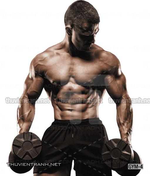 Tranh dán tường Phòng tập Gym, Thể Hình - Tranh tường chất lượng cao