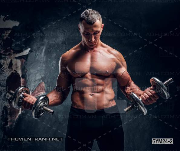 Tranh dán tường Phòng Gym - Tranh tường chất lượng cao