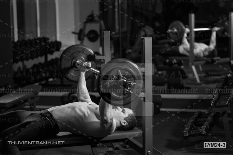 Tranh dán tường Phòng Gym - Tranh tường chất lượng cao