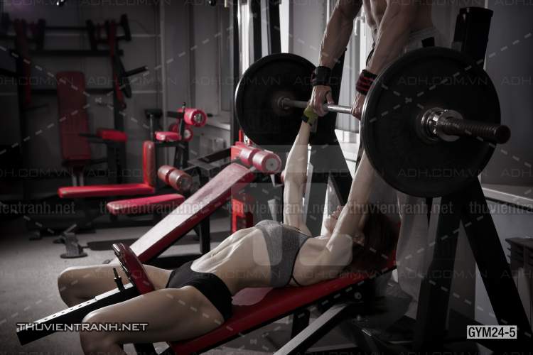 Tranh dán tường Phòng Gym - Tranh tường chất lượng cao