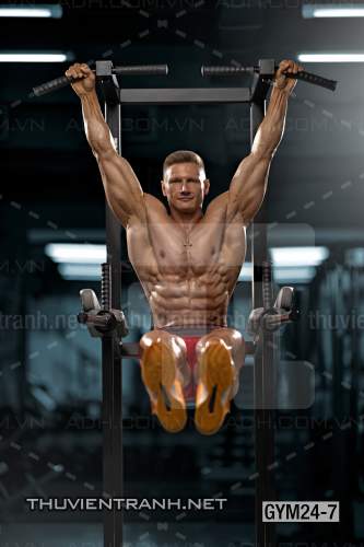 Tranh dán tường Phòng Gym - Tranh tường chất lượng cao