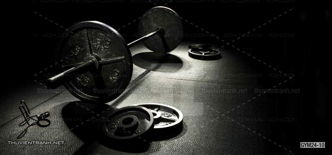 Tranh dán tường Phòng Gym - Tranh tường chất lượng cao