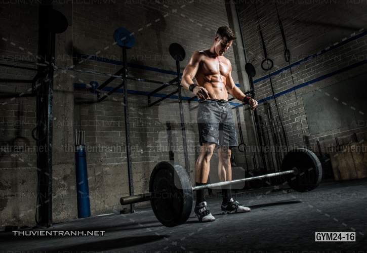 Tranh dán tường Phòng Gym - Tranh tường chất lượng cao