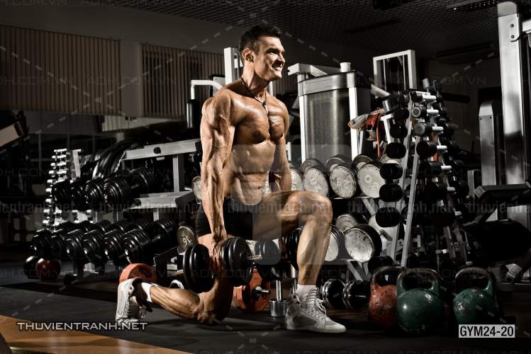 Tranh dán tường Phòng Gym - Tranh tường chất lượng cao