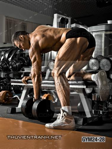 Tranh dán tường Phòng Gym - Tranh tường chất lượng cao