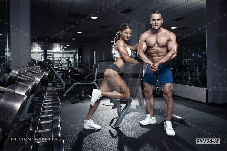 Tranh dán tường Phòng Gym - Tranh tường chất lượng cao