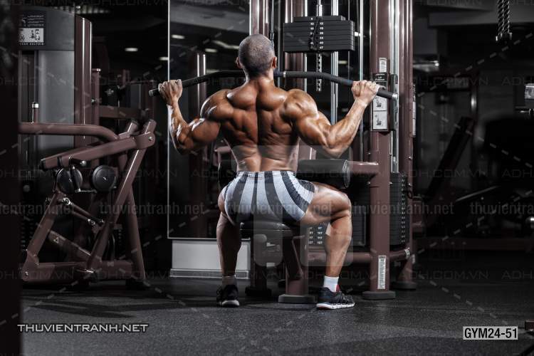  Tranh dán tường Phòng Gym - Tranh tường chất lượng cao