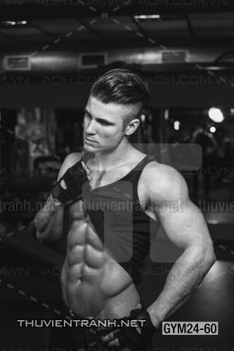  Tranh dán tường Phòng Gym - Tranh tường chất lượng cao
