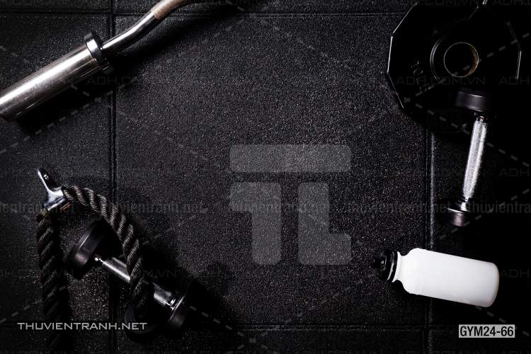  Tranh dán tường Phòng Gym - Tranh tường chất lượng cao