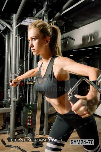  Tranh dán tường Phòng Gym - Tranh tường chất lượng cao