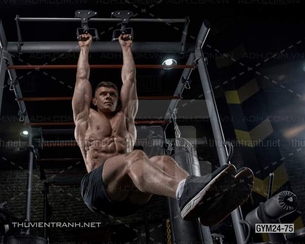 Tranh dán tường Phòng Gym - Tranh tường chất lượng cao