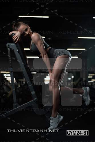 Tranh dán tường Phòng Gym - Tranh tường chất lượng cao
