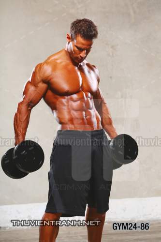 Tranh dán tường Phòng Gym - Tranh tường chất lượng cao