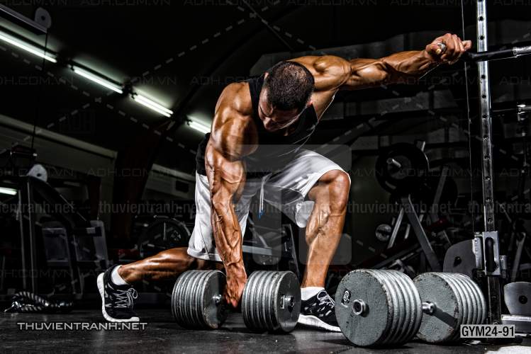 Tranh dán tường Phòng Gym - Tranh tường chất lượng cao