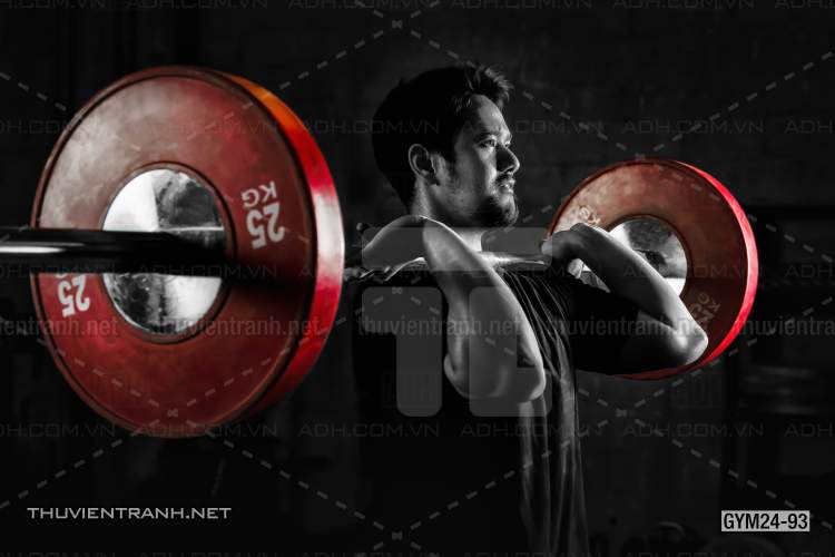 Tranh dán tường Phòng Gym - Tranh tường chất lượng cao
