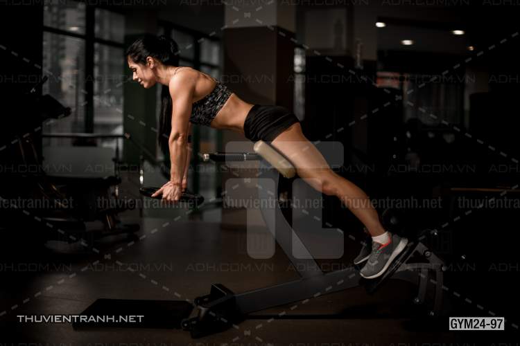 Tranh dán tường Phòng Gym - Tranh tường chất lượng cao