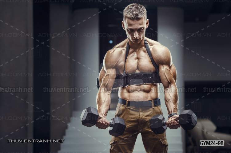 Tranh dán tường Phòng Gym - Tranh tường chất lượng cao