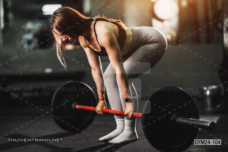 Tranh dán tường Phòng Gym - Tranh tường chất lượng cao