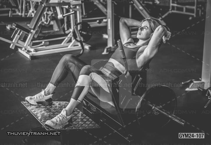 Tranh dán tường Phòng Gym - Tranh tường chất lượng cao