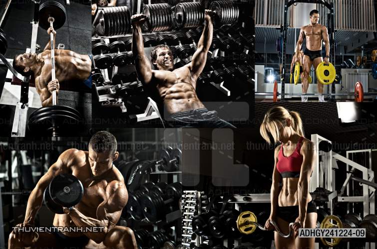  Tranh dán tường Phòng tập Gym - Kết quả tìm kiếm tranh tường