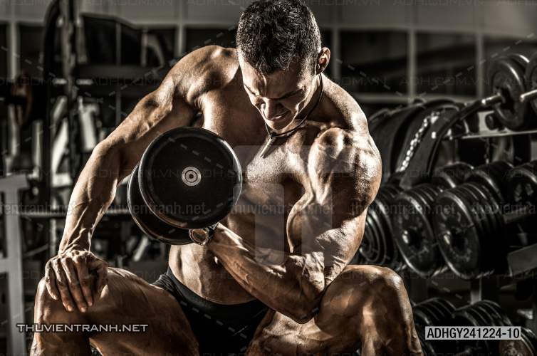  Tranh dán tường Phòng tập Gym - Kết quả tìm kiếm tranh tường