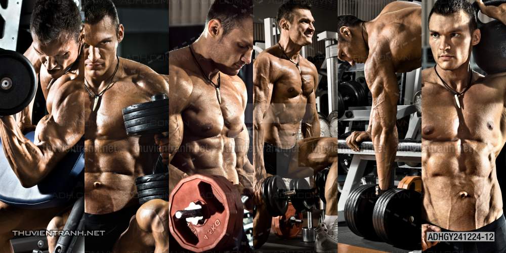  Tranh dán tường Phòng tập Gym - Tranh tường chất lượng cao