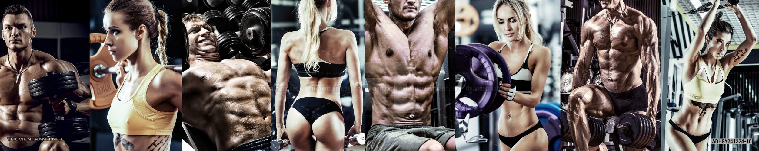 Tranh dán tường Phòng tập Gym - Tranh tường chất lượng cao