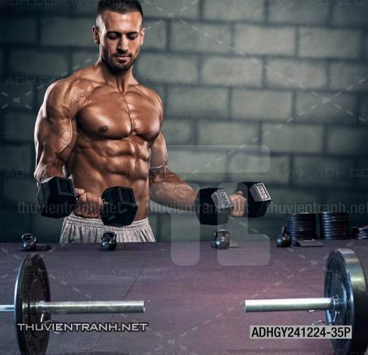 Tranh dán tường Phòng tập Gym - Tranh tường chất lượng cao