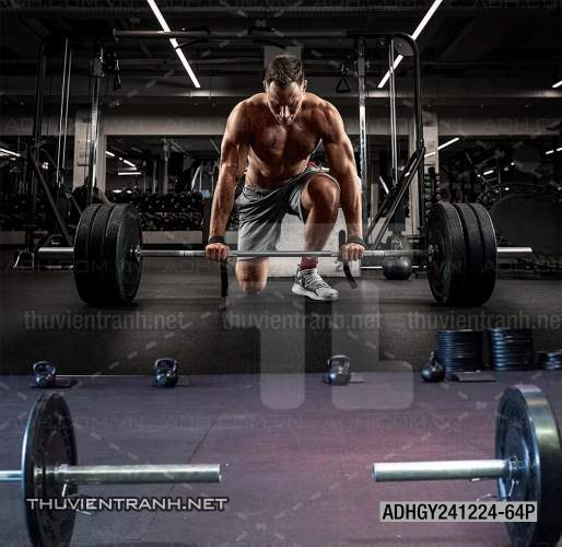 Tranh dán tường Phòng tập Gym - Kết quả tìm kiếm tranh tường