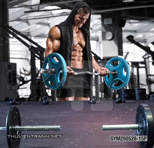 Tranh dán tường Phòng tập Gym - Kết quả tìm kiếm tranh tường