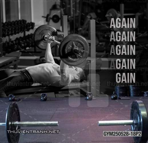 Tranh dán tường Phòng tập Gym - Kết quả tìm kiếm tranh tường