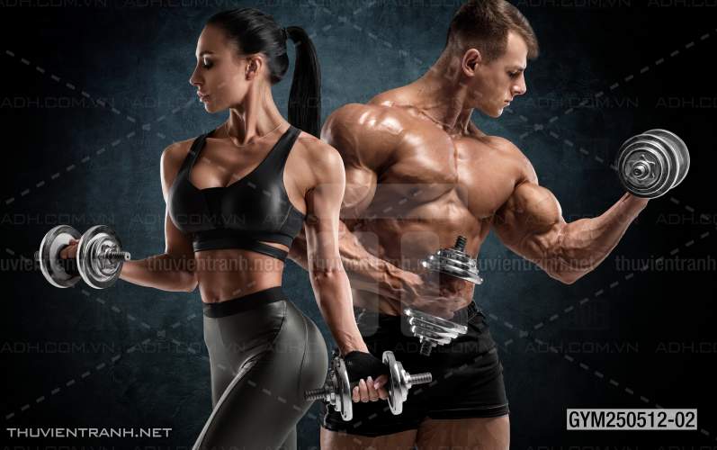 Tranh dán tường Thể Hình, Tranh tường CLUB GYM - Tranh tường chất lượng cao