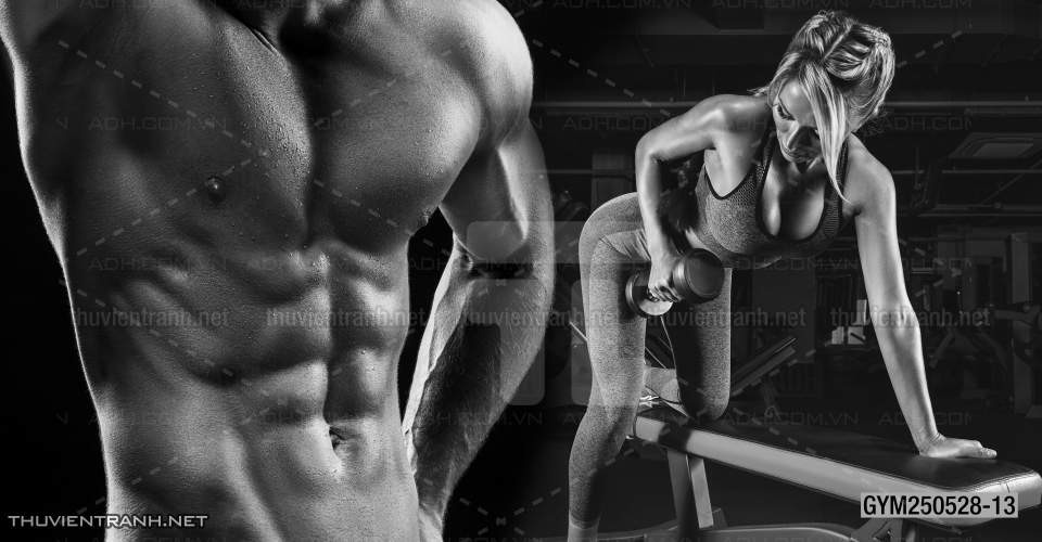 Tranh tường phòng GYM, tranh dán club Thể Hình - Kết quả tìm kiếm tranh tường