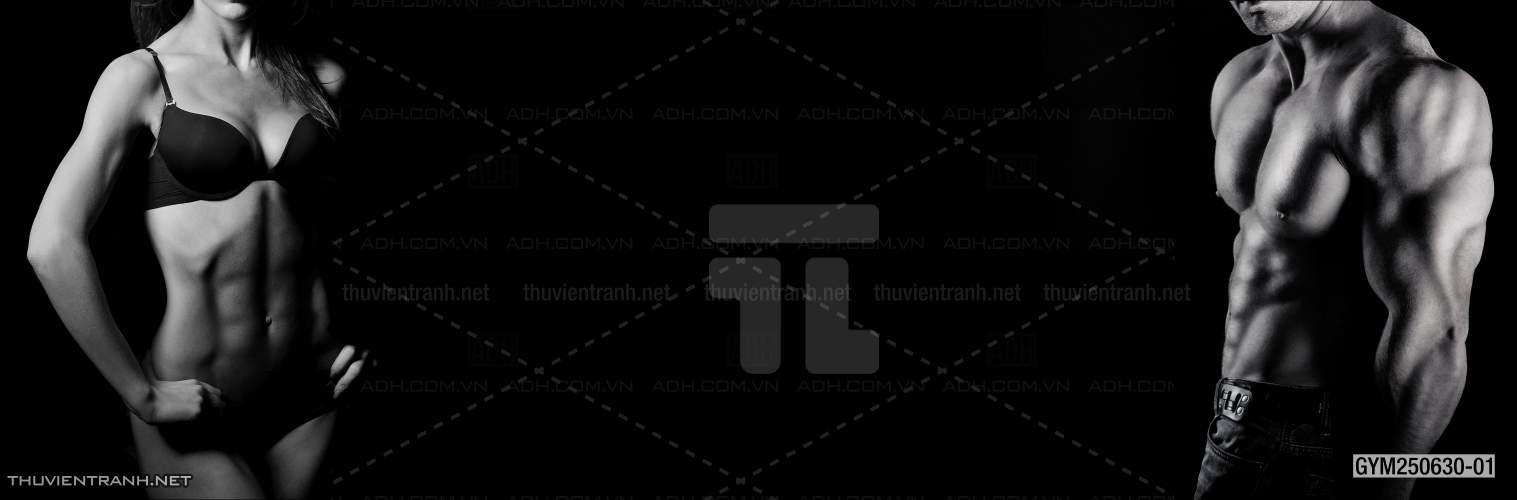 Tranh tường phòng GYM, tranh dán club Thể Hình - Tranh tường chất lượng cao