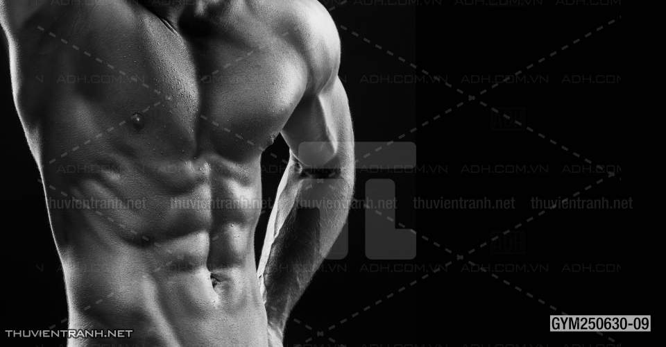 Tranh tường phòng GYM, tranh dán club Thể Hình - Tranh tường chất lượng cao