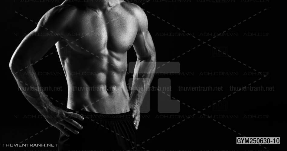 Tranh tường phòng GYM, tranh dán club Thể Hình - Tranh tường chất lượng cao