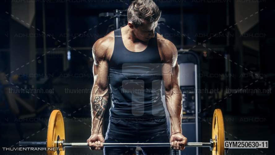 Tranh tường phòng GYM, tranh dán club Thể Hình - Tranh tường chất lượng cao