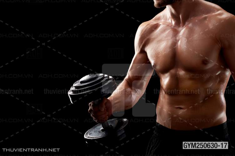 Tranh tường phòng GYM, tranh dán club Thể Hình - Tranh tường chất lượng cao