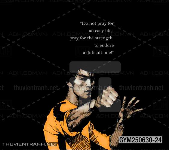 Tranh tường phòng GYM, tranh dán club Thể Hình - Tranh tường chất lượng cao