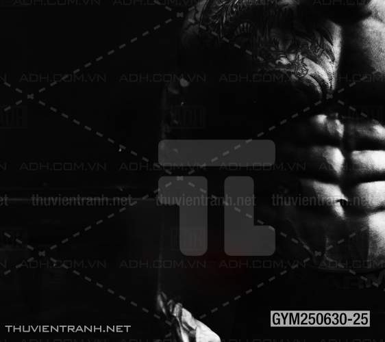 Tranh tường phòng GYM, tranh dán club Thể Hình - Tranh tường chất lượng cao