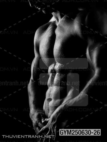 Tranh tường phòng GYM, tranh dán club Thể Hình - Tranh tường chất lượng cao