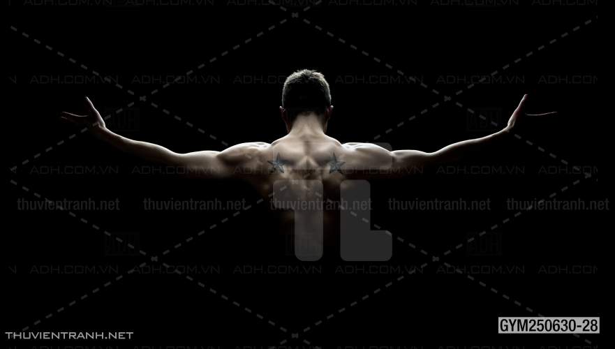 Tranh tường phòng GYM, tranh dán club Thể Hình - Tranh tường chất lượng cao
