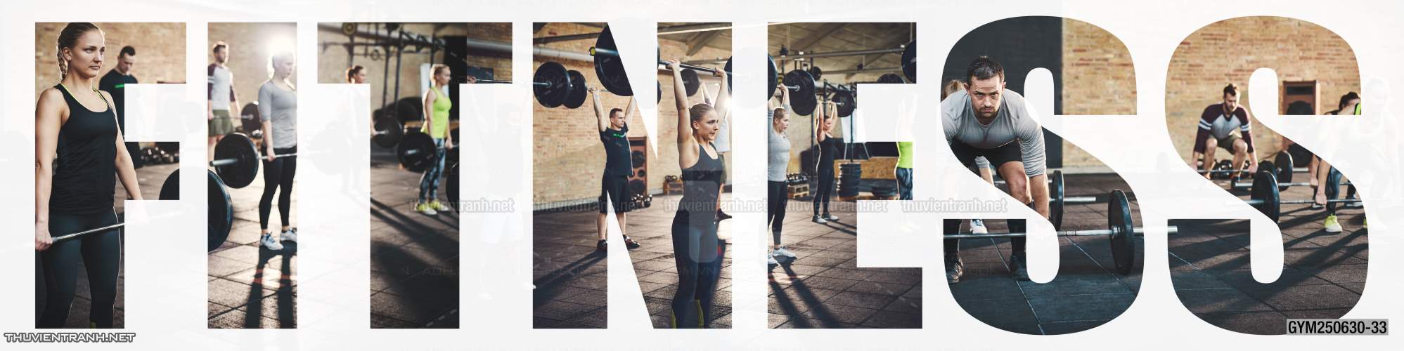 Tranh tường phòng GYM, tranh dán club Thể Hình - Tranh tường chất lượng cao