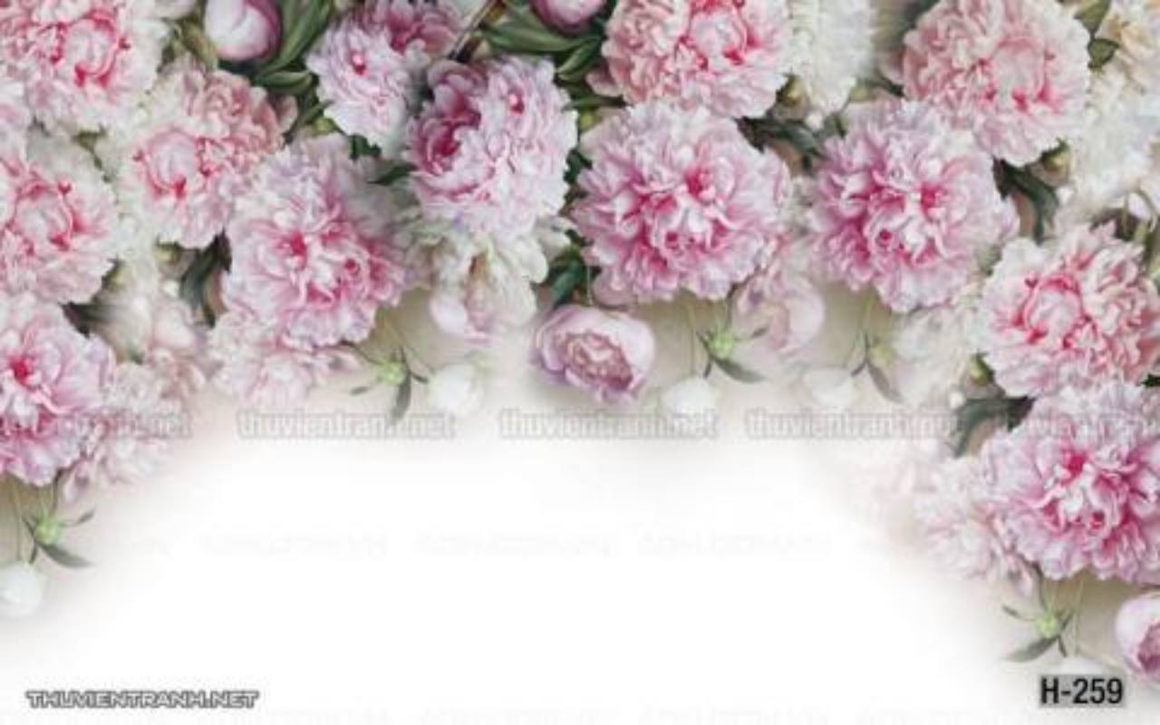 Tranh dán tường hoa - Tranh tường chất lượng cao