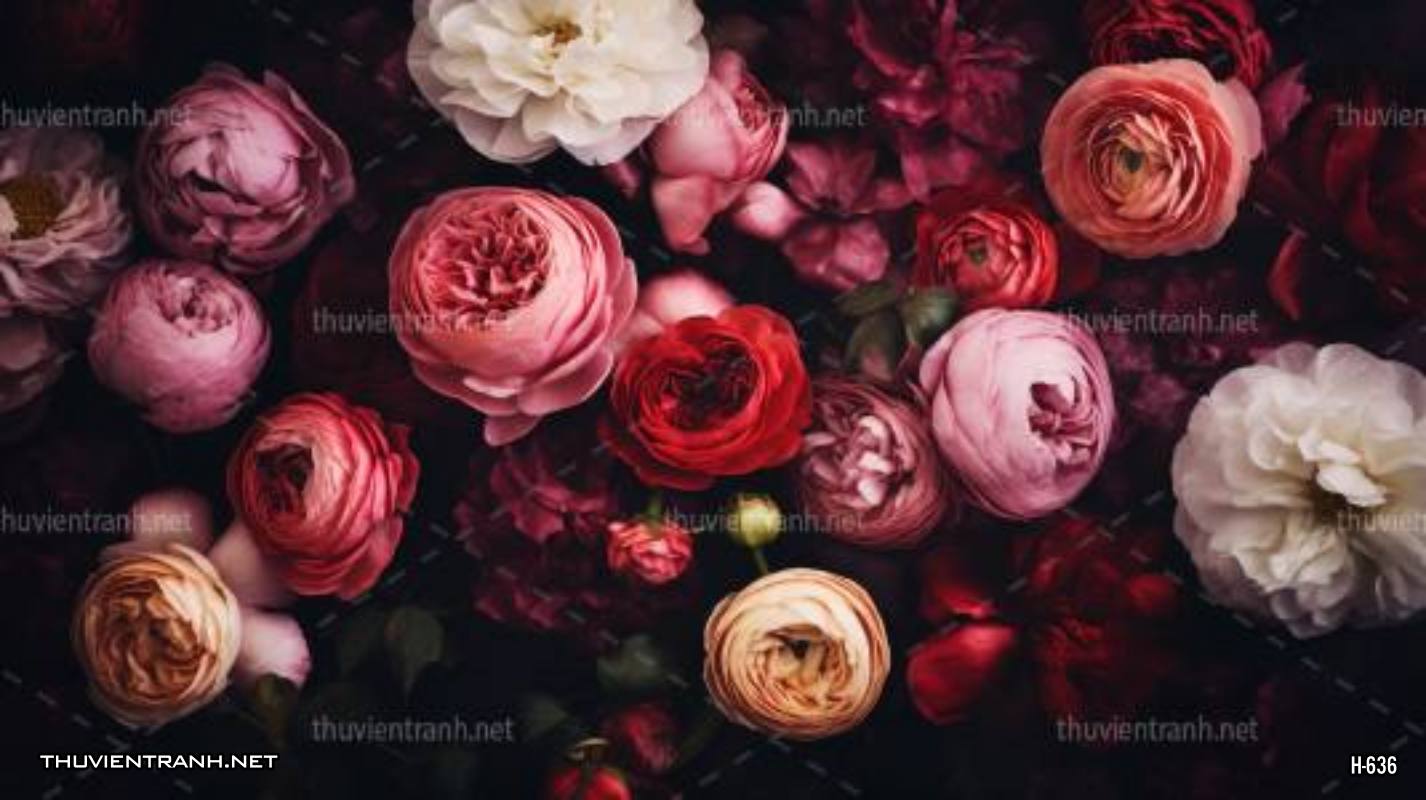 Tranh dán tường hoa tối màu - Tranh tường chất lượng cao
