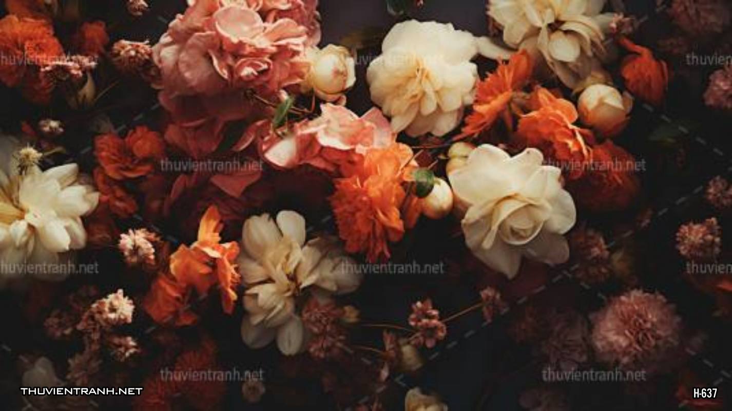 Tranh dán tường hoa tối màu - Tranh tường chất lượng cao